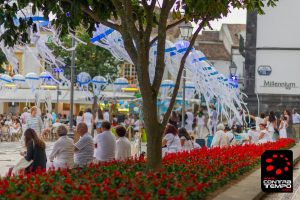 13680207_1153559074685720_3072740085720041672_o