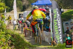 17352068_1447261025315522_4982109441449210216_n